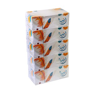 Facial Tissue Reesha 200sheet 2 Ply (1x5pc)